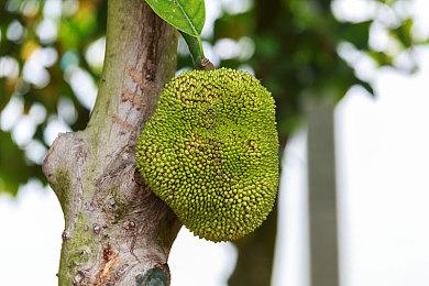 动视暴雪发声明严词批评联邦贸易委员会